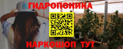 ECSTASY Будённовск