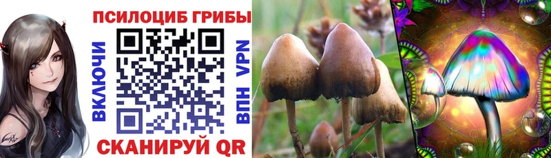 Псилоцибиновые грибы Magic Shrooms  наркотики  мориарти какой сайт  Красногорск 